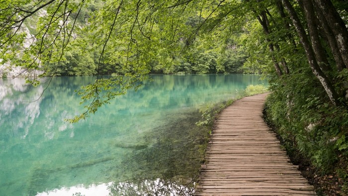 Wooden path along a turquoise lake in a forest