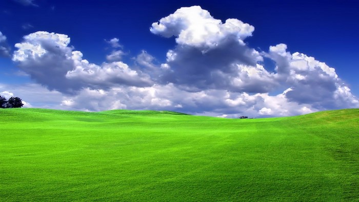 Green grass field under a blue sky with clouds
