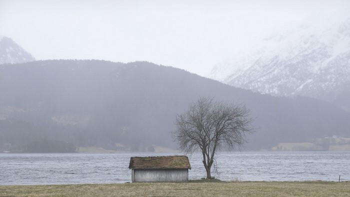 Small wooden boathouse and bare tree by a lake with mountains