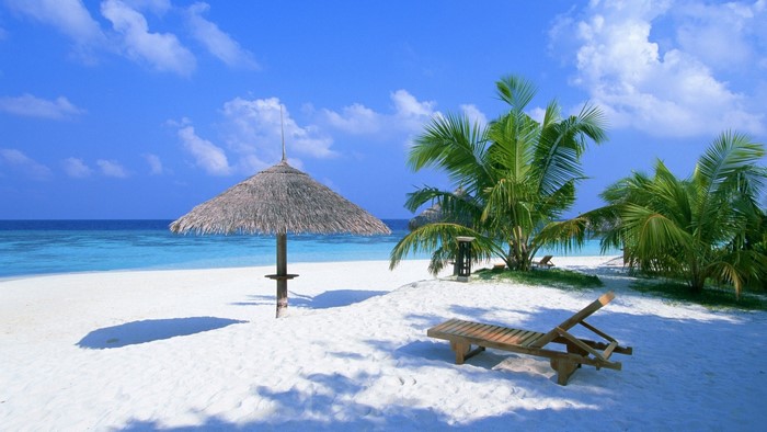 Paradise Island Beach with Palm Trees and Lounge Chair