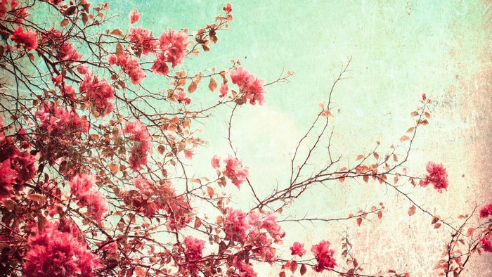 Vintage floral branches with pink flowers