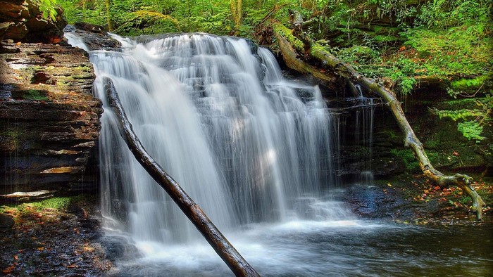 Waterfall in a Forest Landscape