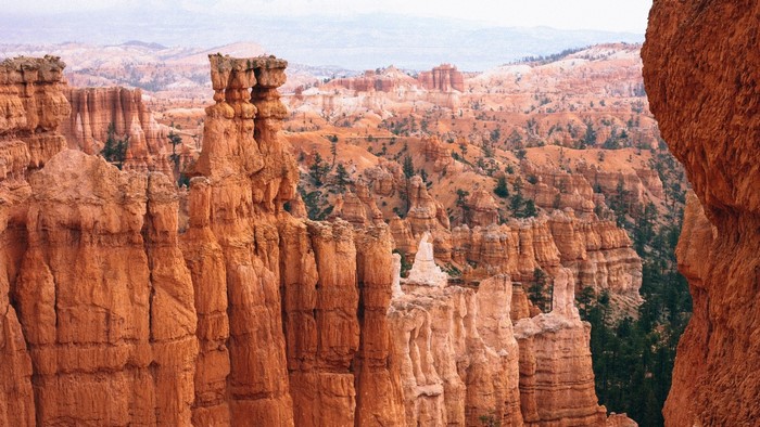 Bryce Canyon National Park Hoodoos