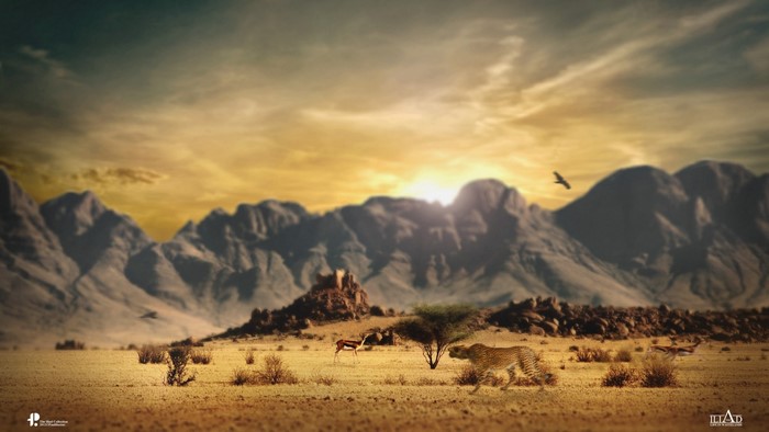 Cheetah and gazelle in a desert landscape with mountains