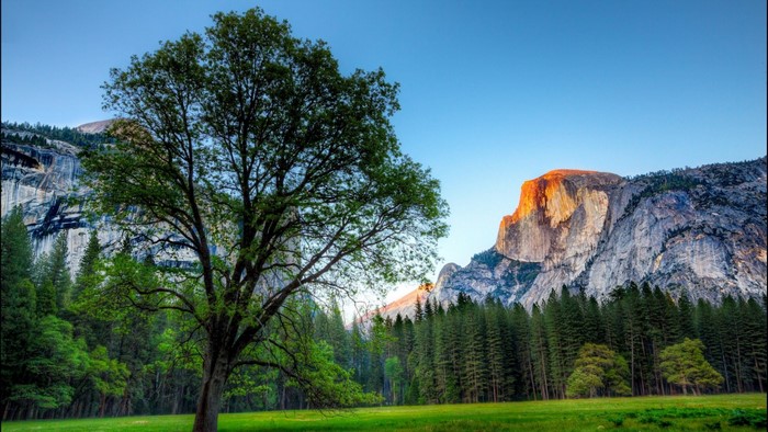 Yosemite National Park with Half Dome