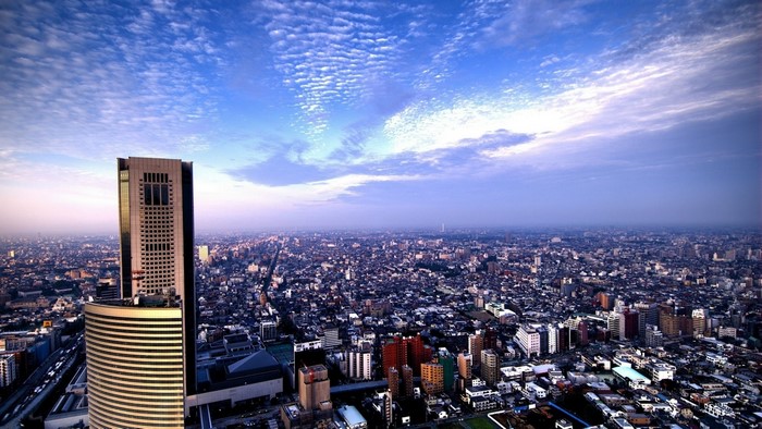 Tokyo City Aerial View