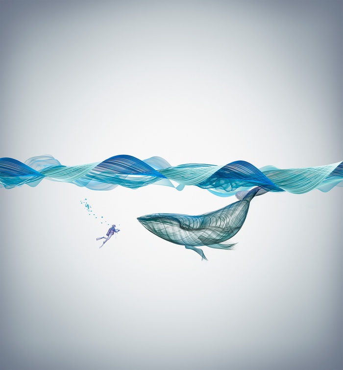 Artwork of a diver and a whale underwater