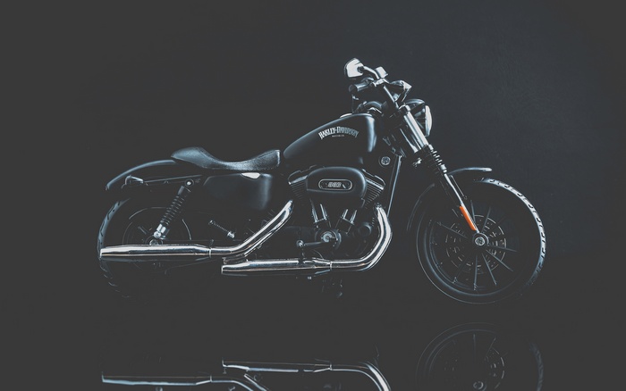 Harley Davidson Iron 883 Motorcycle 4K