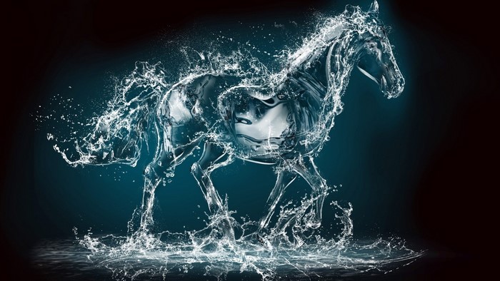Water Horse Creative Art
