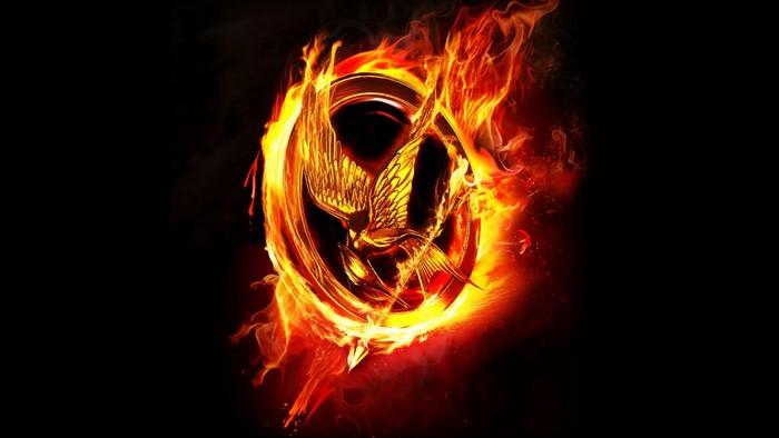 The Hunger Games Catching Fire Logo