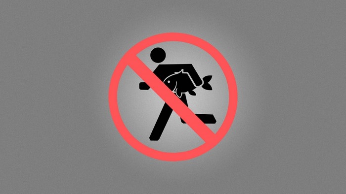 No running with fish sign