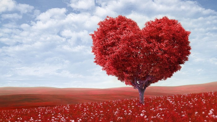 Heart shaped tree in a red field