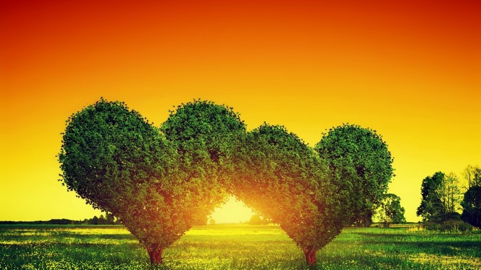 Heart-shaped trees at sunset