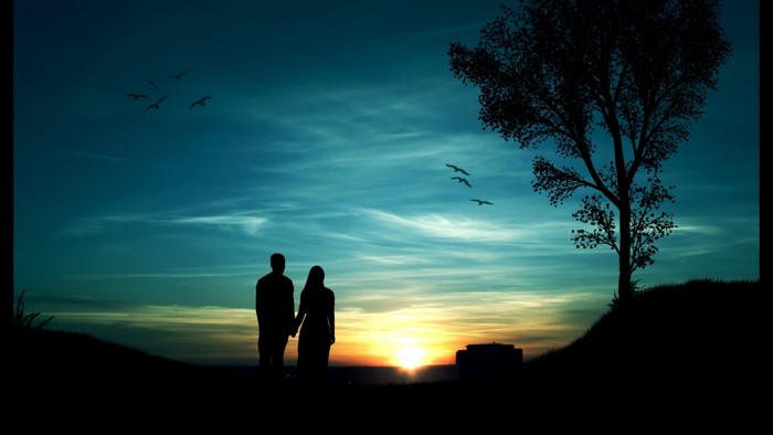 Couple holding hands at sunset with birds flying