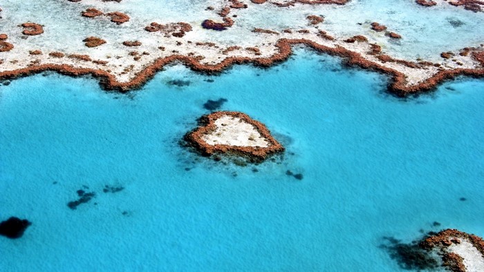 Heart Reef, Great Barrier Reef