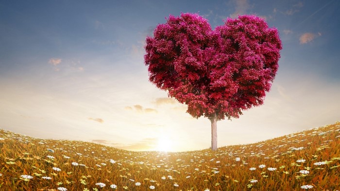 Heart-shaped tree in a field of flowers