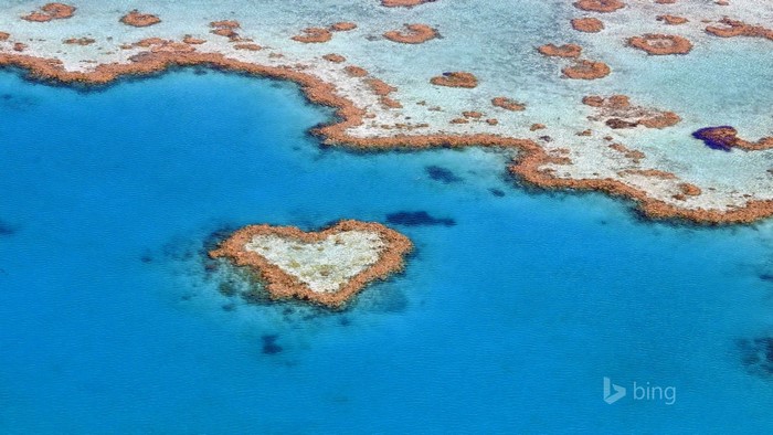 Heart Reef Great Barrier Reef aerial view