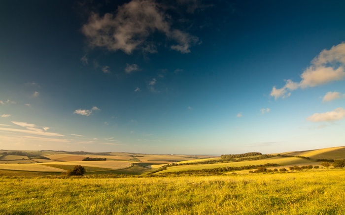Golden fields under a blue sky with clouds
