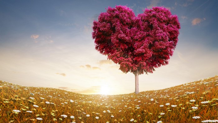 Heart-shaped tree in a field of flowers