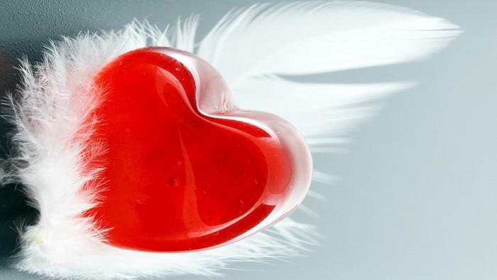 Red heart with white feathers