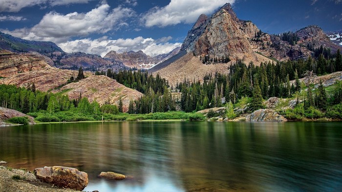 Lake and mountains with pine trees