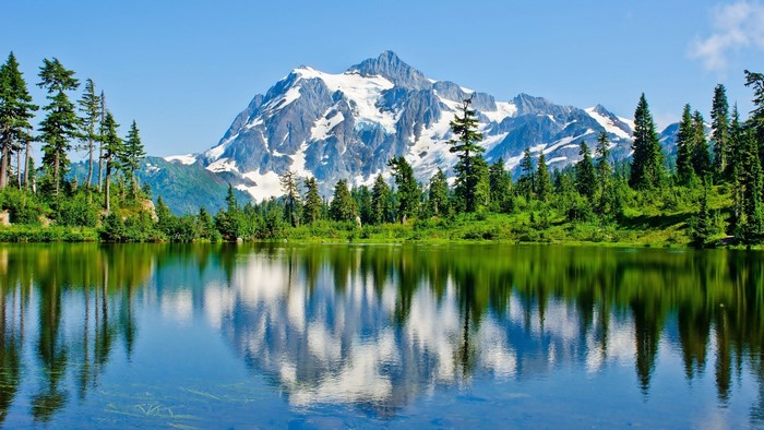Mount Baker Forest Lake Reflection