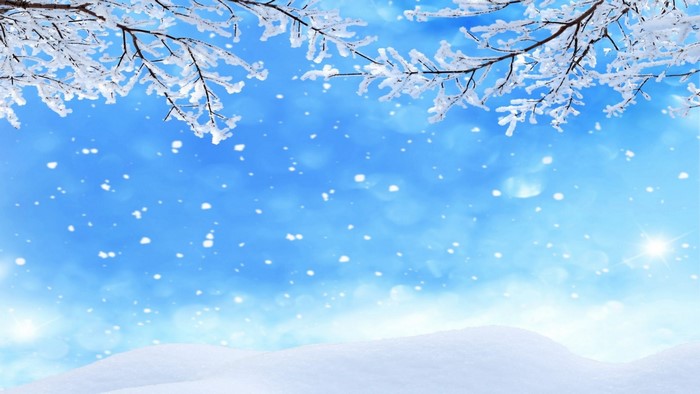 Winter scene with snow falling and frosted branches