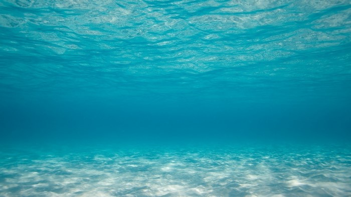 Underwater view of the ocean floor