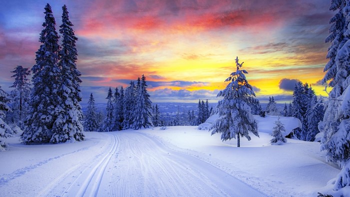 Winter Sunset Over Snowy Forest in Norway