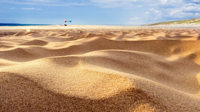 Sand dunes on a sunny day