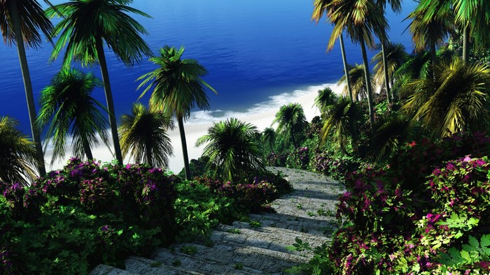 Tropical beach with palm trees and stone stairs