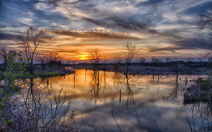 Sunset over a marsh with bare trees and reflections