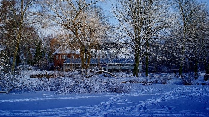 Winter house landscape with snow-covered trees