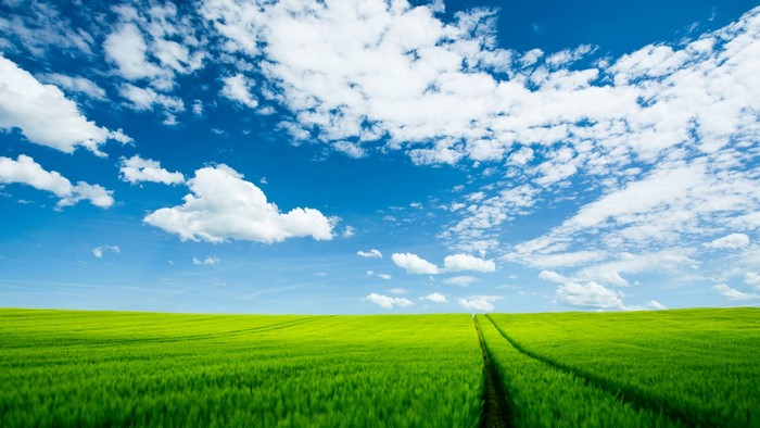 Green grass field under a blue sky with clouds