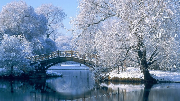 Wooden bridge over water in a snow-covered park