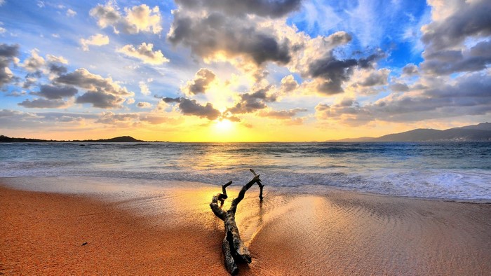 Beach Sunset with Driftwood