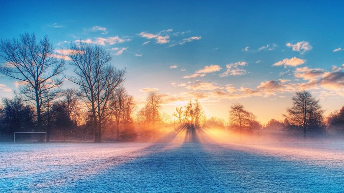 Sunrise over a frosty field with trees