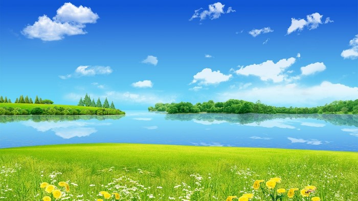 Summer landscape with lake and green fields