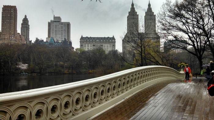 Bow Bridge in Central Park, New York City