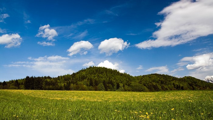 Spring Meadow with Forested Hill and Clouds
