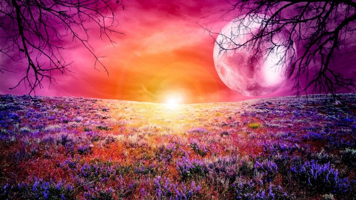 Fantasy landscape with flower field and surreal moon
