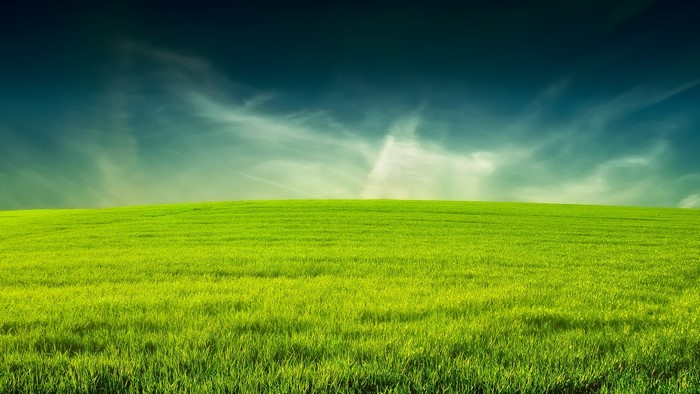 Green grass field under a blue sky