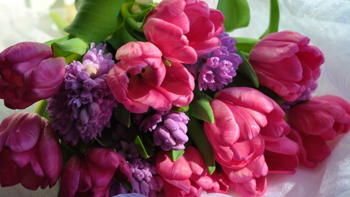Pink Tulips and Purple Hyacinths Bouquet