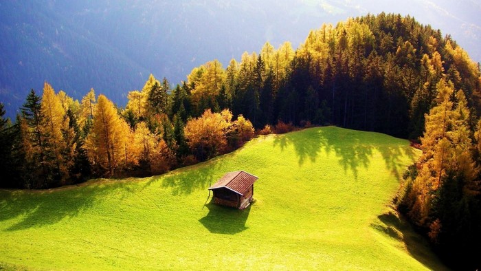Autumn forest on a grassy hill with a small cabin