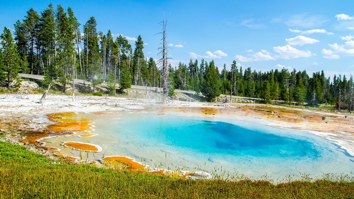 Hot Spring Pool in Yellowstone National Park
