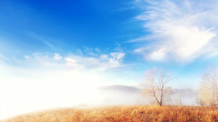 Foggy Autumn Landscape with Trees and Blue Sky