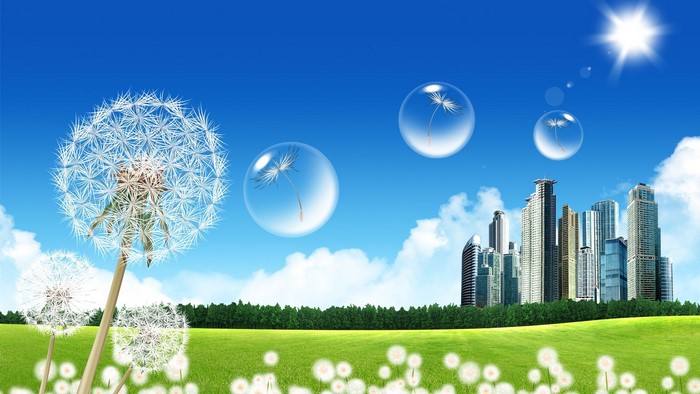 Dandelions and Cityscape under Blue Sky