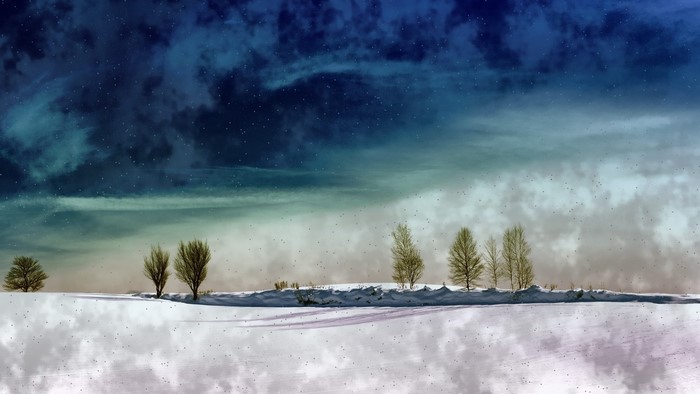 Fantasy winter landscape with trees under a starry sky