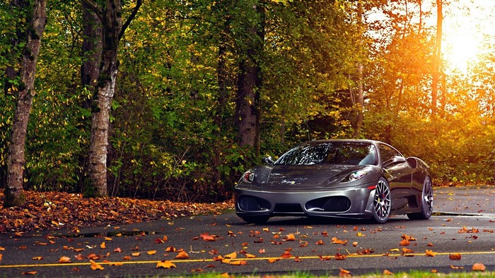 Black Ferrari sport car in autumn forest