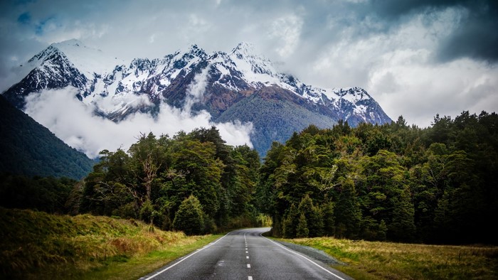 Road through forest to snow-capped mountains in New Zealand